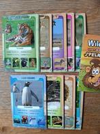 Wildlife weetjes kwartet met extra grote kaarten, Ophalen of Verzenden, Gebruikt, Kwartet(ten)