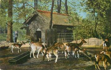 (301-003-001) Dordrecht Hertenkamp beschikbaar voor biedingen