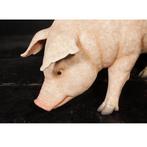 Fat Pig – Varken beeld Lengte 127 cm, Verzamelen, Dierenverzamelingen, Ophalen, Nieuw, Overige soorten, Overige typen