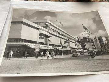 Bijenkorf Rotterdam 1956 - Vintage Foto Persfoto Dolfijn beschikbaar voor biedingen