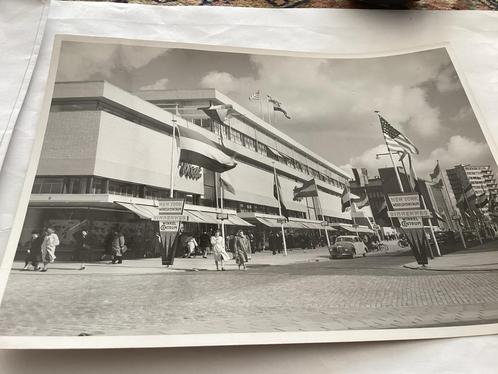 Bijenkorf Rotterdam 1956 - Vintage Foto Persfoto Dolfijn, Verzamelen, Foto's en Prenten, Ophalen of Verzenden