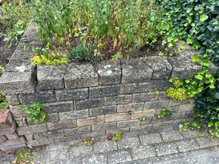 Gratis stenen voor borders (trapezium), Tuin en Terras, Bielzen en Borders, Gebruikt, Blok, Beton, Minder dan 25 cm, Minder dan 100 cm