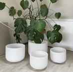 Kristallen klankschalen ( 30 CM,- C, B & E toon), Ophalen of Verzenden, Zo goed als nieuw