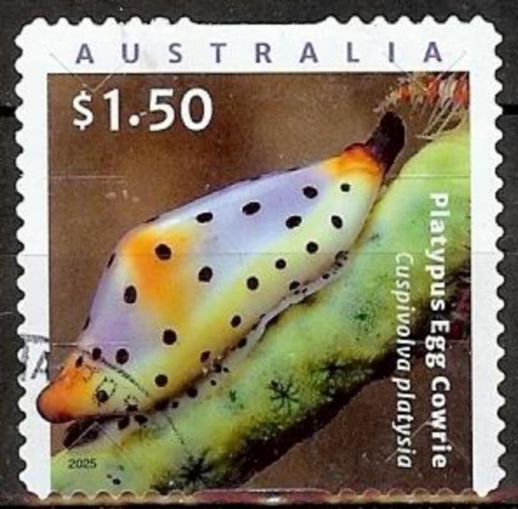 609 Australië 2025 Living Seashells s/a, Postzegels en Munten, Postzegels | Oceanië, Gestempeld, Verzenden