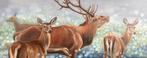 Schilderij herten, Ophalen of Verzenden