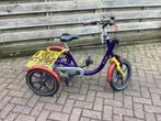 Van raam mini, Ophalen of Verzenden, Gebruikt, Van Raam