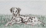 Mini tekening dalmatiër incl lijst 10x15cm hond portret, Minder dan 50 cm, Verzenden, Minder dan 50 cm, Tekening
