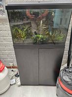 Aquarium Jewel nu voor de 1e die 50 euro bied!, Dieren en Toebehoren, Vissen | Aquaria en Toebehoren, Ophalen, Zo goed als nieuw