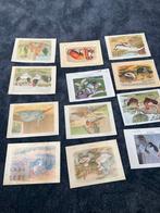 9 illustraties uit avicultura, Mannelijk, Kip