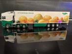 Tekno Daf 105XF spacecab 6x2 twinsteering  Dijco, Hobby en Vrije tijd, Modelauto's | 1:50, Ophalen of Verzenden, Nieuw, Bus of Vrachtwagen