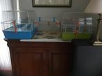 Hamsterkooi, muizenkooi met heel veel toebehoren, Dieren en Toebehoren, Ophalen, Gebruikt, Overige typen