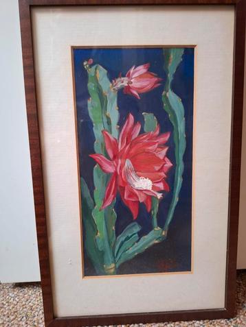 Schilderij A.J. Smets Meijer - Cactusbloem beschikbaar voor biedingen