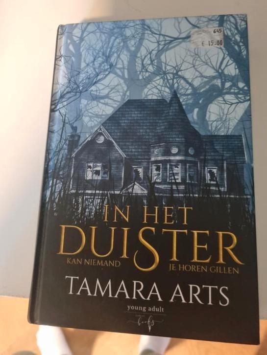 Tamara Arts - In het Duister, Boeken, Kinderboeken | Jeugd | 13 jaar en ouder, Zo goed als nieuw, Ophalen of Verzenden
