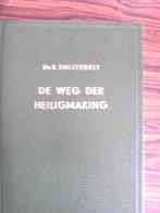 De weg der Heiligmaking. Ds. B. Smijtegelt., Ophalen of Verzenden, Nieuw, B. Smijtegelt, Christendom | Protestants
