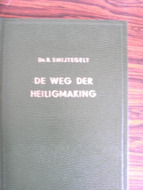 De weg der Heiligmaking. Ds. B. Smijtegelt., Boeken, Godsdienst en Theologie, Nieuw, Christendom | Protestants, Ophalen of Verzenden