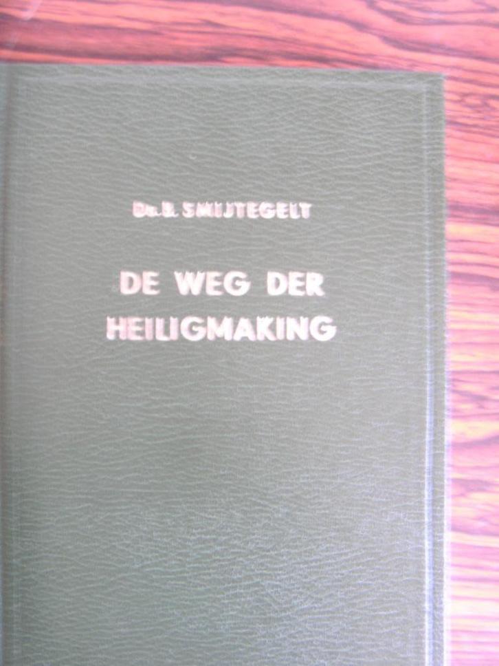 De weg der Heiligmaking. Ds. B. Smijtegelt., Boeken, Godsdienst en Theologie, Nieuw, Christendom | Protestants, Ophalen of Verzenden