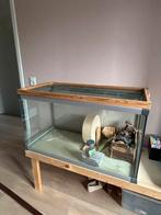 Terrarium voor knaagdieren, Gebruikt, Muis, Hok, 75 tot 110 cm