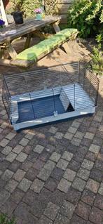 Knaagdierverblijf, Dieren en Toebehoren, Ophalen, Zo goed als nieuw, Kooi, Minder dan 60 cm