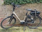 Elektrische fiets Sparta /Bosch Active line Plus 1.550km, Ophalen, Sparta, Zo goed als nieuw, 51 tot 55 cm