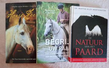 Horse Feelings Begrijp Uw Paard De natuur van het paard beschikbaar voor biedingen