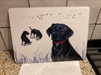 Ondezetter hond, Ophalen of Verzenden
