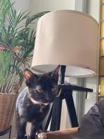 Katertje 6 maanden, Dieren en Toebehoren, Katten en Kittens | Overige Katten, Kater