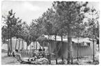 AK Hoeven - Camping Hoeven., Verzenden, 1960 tot 1980, Ongelopen, Noord-Brabant