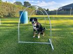 Hoops voor hoopers, Dieren en Toebehoren, Honden-accessoires, Ophalen of Verzenden, Nieuw