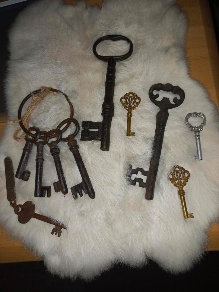 Brocante gietijzeren Skeletsleutels/Skeleton Keys, Antiek en Kunst, Curiosa en Brocante, Ophalen of Verzenden