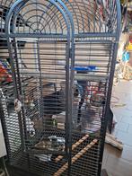 Grote papagaaien kooi en transportkooien, Dieren en Toebehoren, Vogels | Hokken en Kooien, Ophalen, Zo goed als nieuw, Vogelkooi