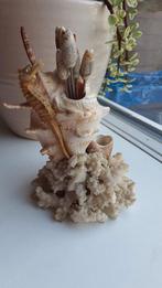 Vintage schelp & koraal cocktailprikkers set – maritiem, Ophalen of Verzenden