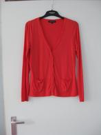Vest Josephine en Co maat M valt klein, Josephine & Co, Zo goed als nieuw, Rood, Ophalen