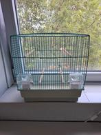 Prachtige vogel kooi, Dieren en Toebehoren, Vogels | Hokken en Kooien, Ophalen, Zo goed als nieuw, Metaal, Vogelkooi