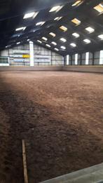 Paardenboxen, binnenbak, weide en evt. woonruimte te huur, Dieren en Toebehoren, Stalling en Weidegang, Weidegang, 4 paarden of pony's of meer