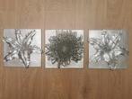 3 schilderijen zilverkleurig wanddecoratie bloemen, Ophalen of Verzenden, Zo goed als nieuw