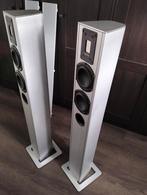 Piega tp 5s, Audio, Tv en Foto, Luidsprekers, Zo goed als nieuw, 120 watt of meer, Front, Rear of Stereo speakers, Ophalen