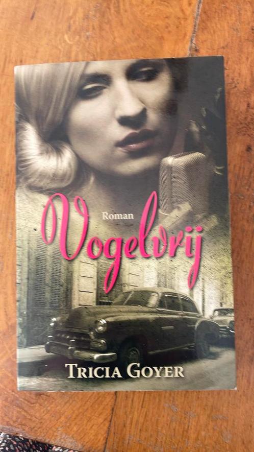 Tricia Goyer - Vogelvrij, Boeken, Literatuur, Zo goed als nieuw, Nederland, Ophalen of Verzenden