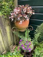 2 Brocante metalen  (tuin)plantenstandaards (zonder planten), Ophalen