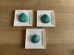 Schattig setje schelpen met Van Gogh amandelbloesem, Huis en Inrichting, Minder dan 50 cm, Overige typen, Nieuw, Ophalen of Verzenden