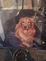 Auto zit beschermer nog nieuw, Ophalen of Verzenden, Nieuw