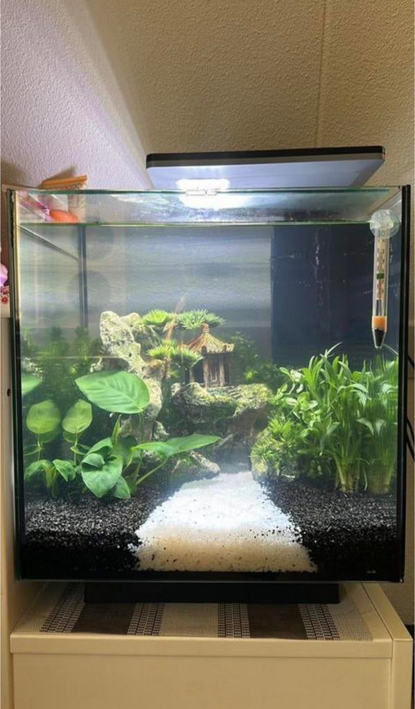 Superfish aquarium qubic 60 pro, Dieren en Toebehoren, Vissen | Aquaria en Toebehoren, Ophalen, Zo goed als nieuw, Leeg aquarium