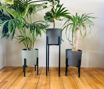 Bloempotten plantenpot op standaard beschikbaar voor biedingen
