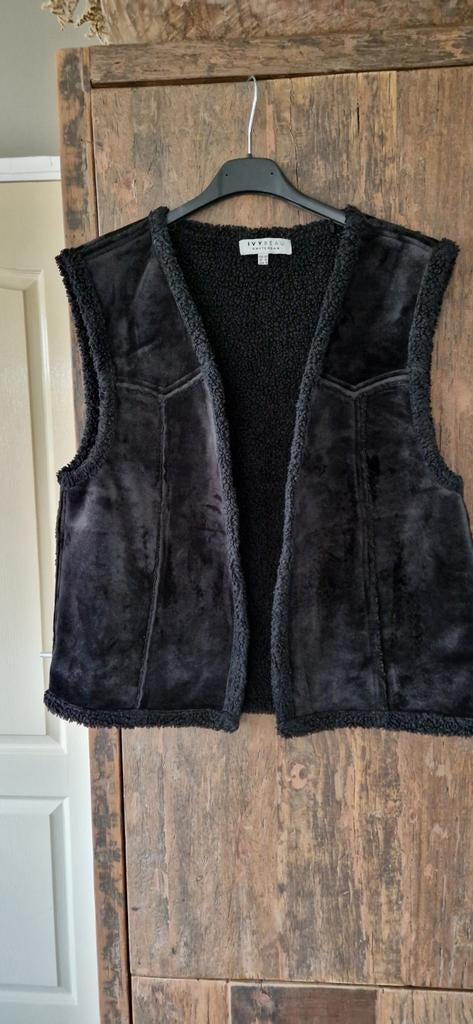 2 gilets IVY BEAU

ROZE EN ZWART, Kleding | Dames, Bodywarmers, Ophalen of Verzenden, Zo goed als nieuw, Maat 38/40 (M), Zwart