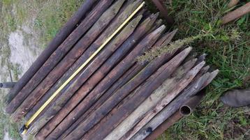 Weide palen 41  stuks afrastering  beschikbaar voor biedingen