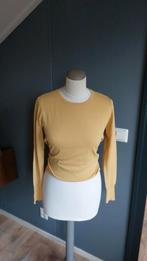 Truitje lilytime, Ophalen of Verzenden, Zo goed als nieuw, Maat 38/40 (M), Lange mouw