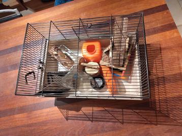 Hamsterkooi met speeltjes  beschikbaar voor biedingen