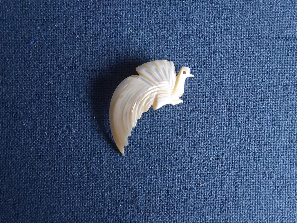 Broche (gemaakt van een schelp), Ophalen of Verzenden, Nieuw, Overige materialen