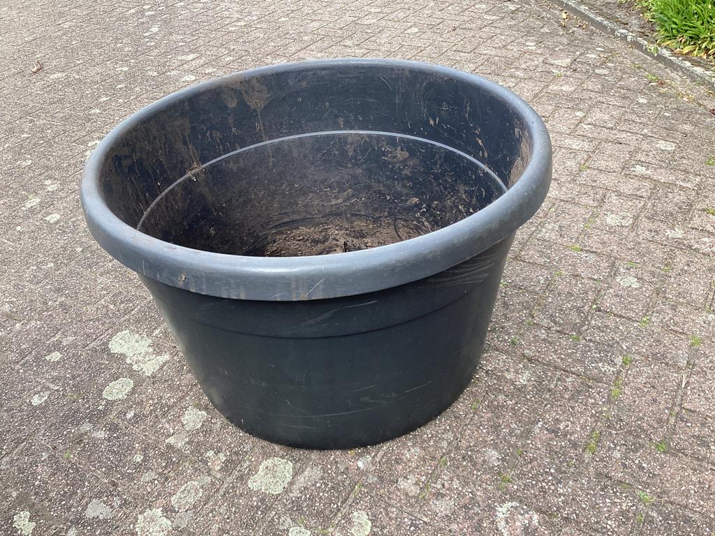 2x Boomkuip/plantenbak/container en grote plantenbak, Ophalen, Kunststof, Rond, Zo goed als nieuw