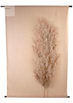 Wandkleed Pluim naturel 136 x 105 cm, Ophalen, Nieuw