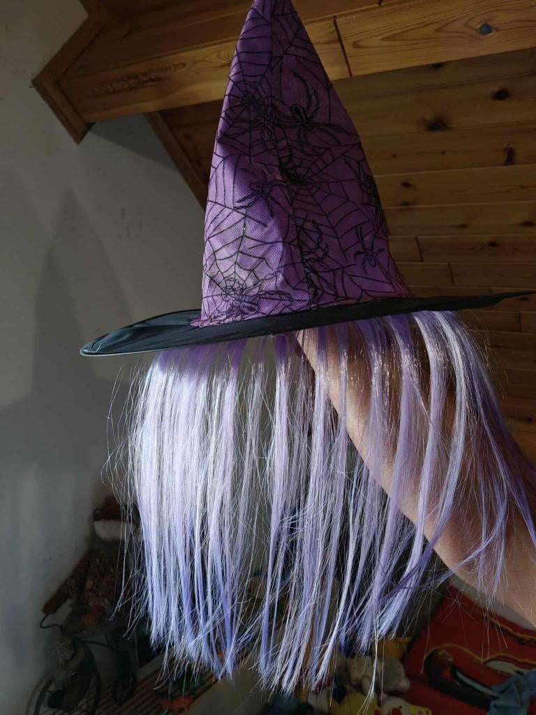 heksen hoeden, Kleding | Dames, Carnavalskleding en Feestkleding, Maat 38/40 (M), Carnaval, Ophalen of Verzenden, Zo goed als nieuw